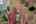 Blurred preview of media: IMG_5114_5_6