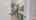 Blurred preview of media: 113-Edison-Street-4-Pc-Bathroom-Lower-Level