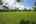 Blurred preview of media: Ground 4