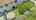 Blurred preview of media: DJI_0892