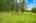 Blurred preview of media: 1-726-0891