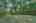 Blurred preview of media: 8815 Brosnon Lane-54