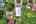 Blurred preview of media: DJI_0307_8_9_easyHDR