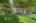 Blurred preview of media: Nerine_004