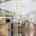 Blurred preview of media: 2-926-7659