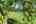 Blurred preview of media: 321 Princeton Road Sterling MA 0027