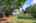 Blurred preview of media: 1-40