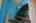 Blurred preview of media: IMG_8888_89_90