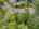 Blurred preview of media: SW Boundary st-55