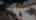 Blurred preview of media: branded tn