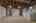 Blurred preview of media: 260105-36