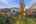 Blurred preview of media: 049