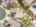 Blurred preview of media: 86-print-DJI_20260527045846_0970_D