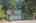 Blurred preview of media: 1-3