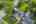 Blurred preview of media: DJI_0199