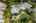 Blurred preview of media: Interior Pro Images 3098 Espana Ln-20
