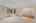 Blurred preview of media: 1-8