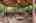 Blurred preview of media: 1-52