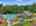 Blurred preview of media: 62-manor-square-sparta-nj-usa-drone-014