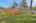 Blurred preview of media: 4774 Cates Ave-45