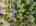 Blurred preview of media: 63-10565_SW_Cormorant_Dr