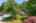 Blurred preview of media: 1-3