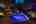 Blurred preview of media: 4Sept0034