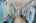 Blurred preview of media: B-20