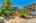 Blurred preview of media: IMG_1818
