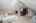 Blurred preview of media: RIV_4303
