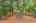 Blurred preview of media: 260141-32