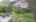 Blurred preview of media: IMG_2421