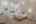 Blurred preview of media: 6V8A8603