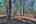 Blurred preview of media: IMG_9364_5_6_easyHDR