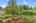 Blurred preview of media: Bonney Lake 6812 Exterior-18