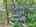 Blurred preview of media: DJI_20250602145001_0568_D_69_D_70_D_easyHDR