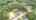 Blurred preview of media: DJI_0681