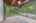 Blurred preview of media: 592 Sugar Road Bolton Massachusetts Job 38874 0047