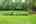 Blurred preview of media: 19625 Callaway Hills Ln-63