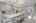Blurred preview of media: DSC02141