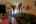 Blurred preview of media: IMG_5438_39_40
