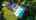 Blurred preview of media: 71