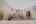 Blurred preview of media: LR Image Jul 27, 2026 at 07_05_33 AM
