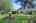 Blurred preview of media: 1-32