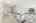 Blurred preview of media: Nerine_093