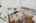 Blurred preview of media: 64 Ravina Cres, Ancaster _ Nathan Ferro61
