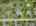 Blurred preview of media: 22-lauren-lane-sussex-nj-usa-drone-003