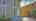 Blurred preview of media: 141Poinsettia-2