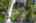Blurred preview of media: iPixx_10_19