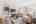 Blurred preview of media: 23